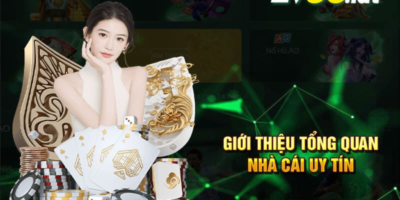 Giới Thiệu Chung Về PG88