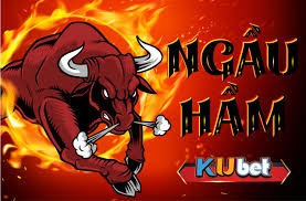 Mẹo chơi Ngầu Hầm Kubet bất bại