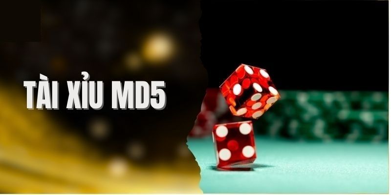 Cách kiểm tra mã MD5 Tài Xỉu Sunwin chuẩn nhất